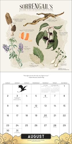 Fourth Wing Officially Licensed Fan Art 2026 Wall Calendar