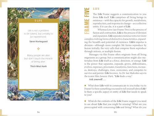 Frame This Oracle (Oracle Frames and Guidebook Box Set): A Tool to Deepen Your Card Readings Reframe Perspective
