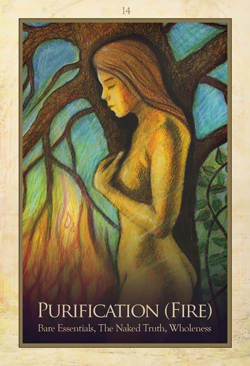 Gaia Oracle : Guidance, Affirmations, Transformation Book and Oracle Card Set - Sold by Witch, Please!
