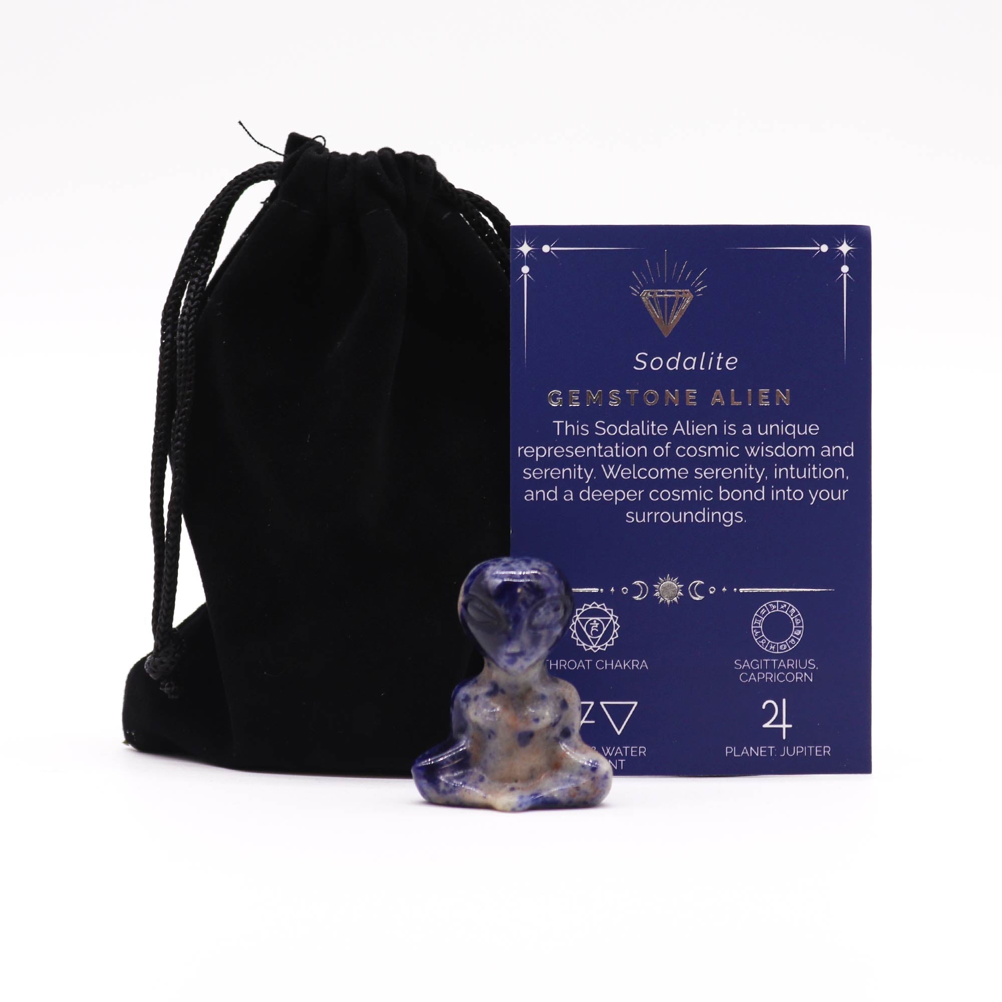 Gemstone Alien - Sodalite From Witch, Please!