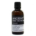Ginger 50ml Professional Essential Oil