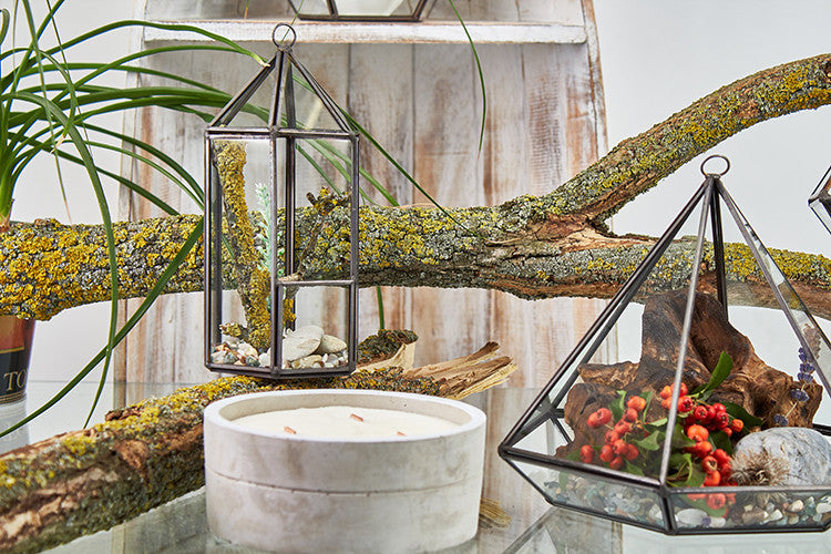 Glass Terrarium - Lantern Shape From Witch, Please!