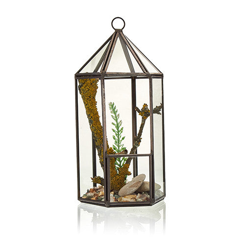 Glass Terrarium - Lantern Shape From Witch, Please!