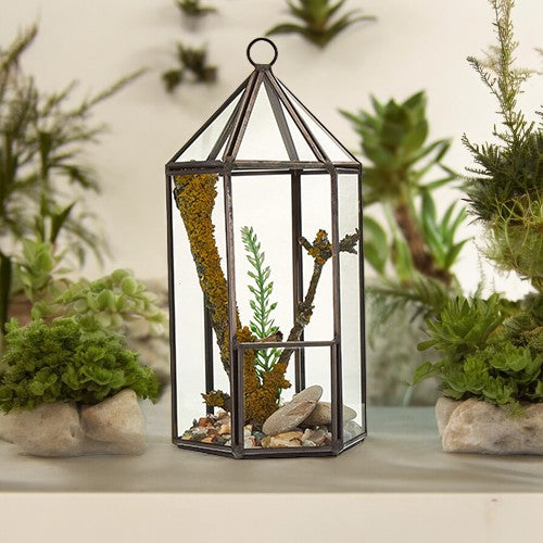 Glass Terrarium - Lantern Shape From Witch, Please!