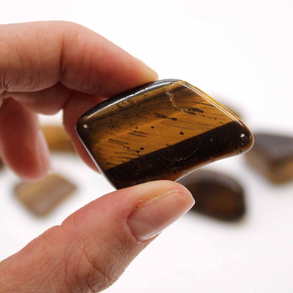 L Tumble Stones - Tiger Eye - Gold From Witch, Please!