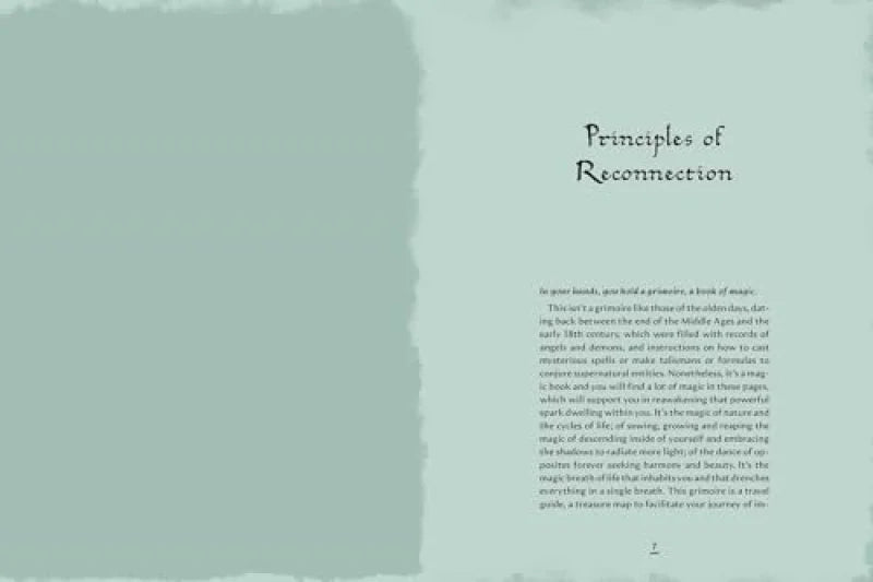 Grimoire of Wellness : Natural Wisdom for Body, Mind and Spirit