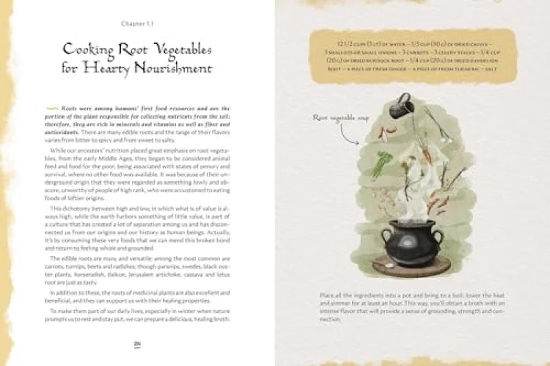 Grimoire of Wellness : Natural Wisdom for Body, Mind and Spirit