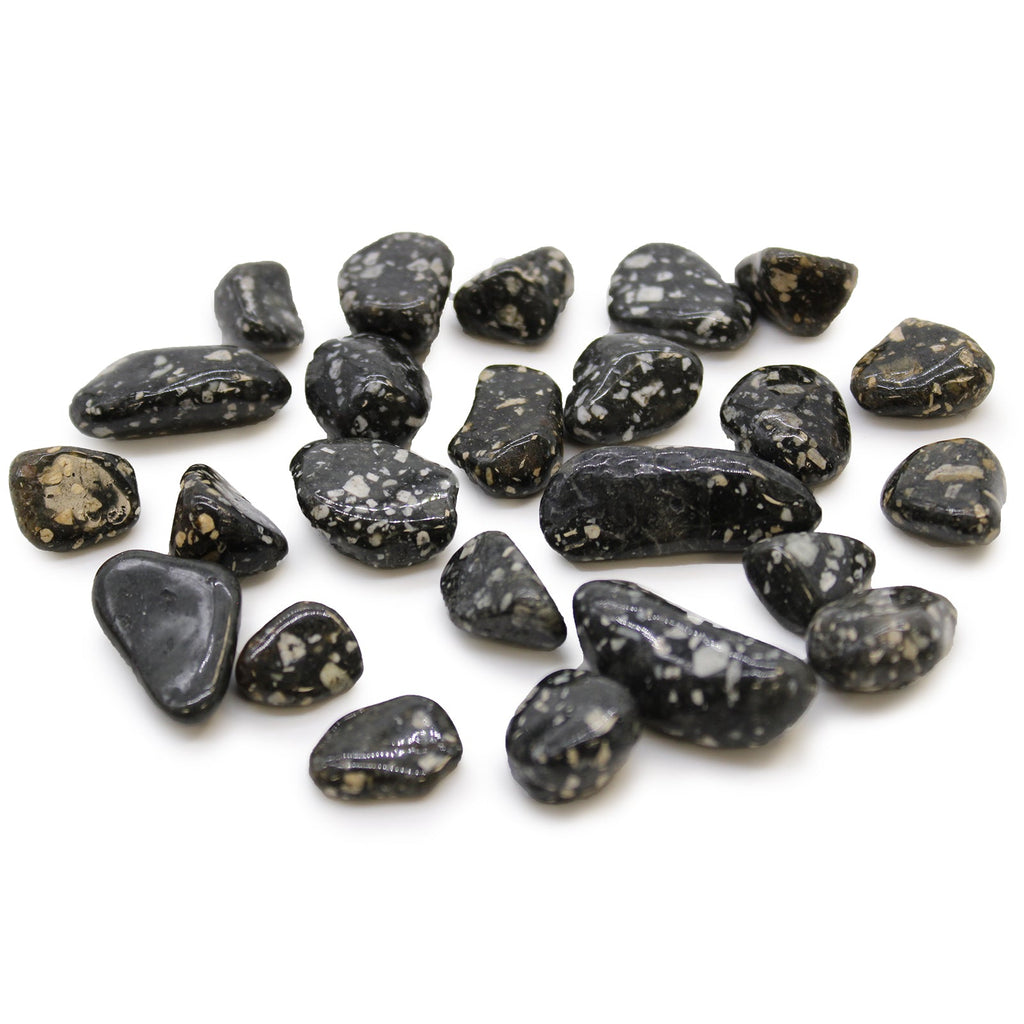 Small African Tumble Stones - Guinea Fowl From Witch, Please!