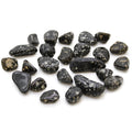 Small African Tumble Stones - Guinea Fowl From Witch, Please!