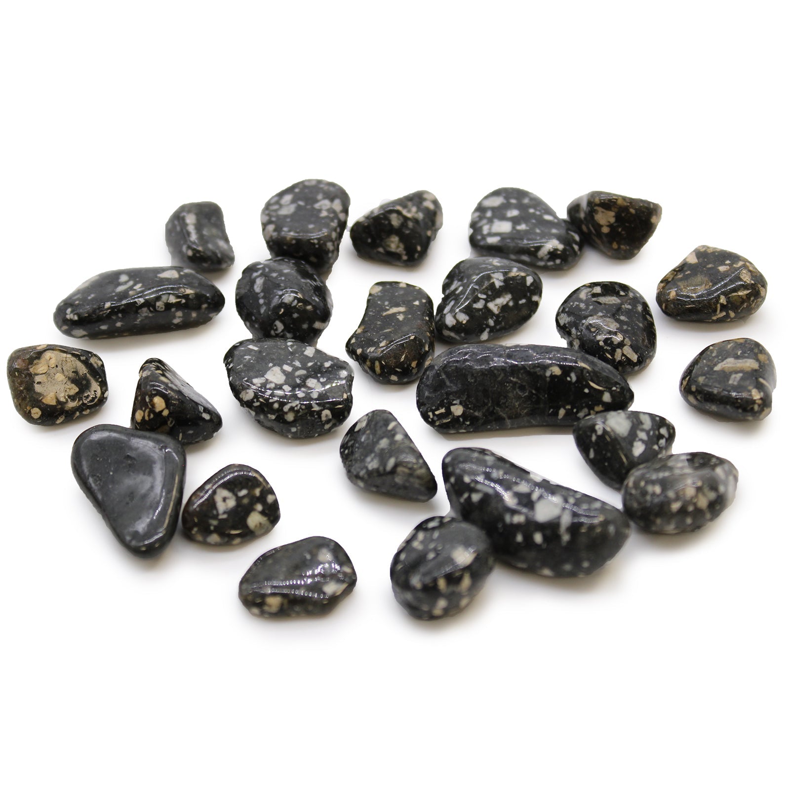 Small African Tumble Stones - Guinea Fowl From Witch, Please!