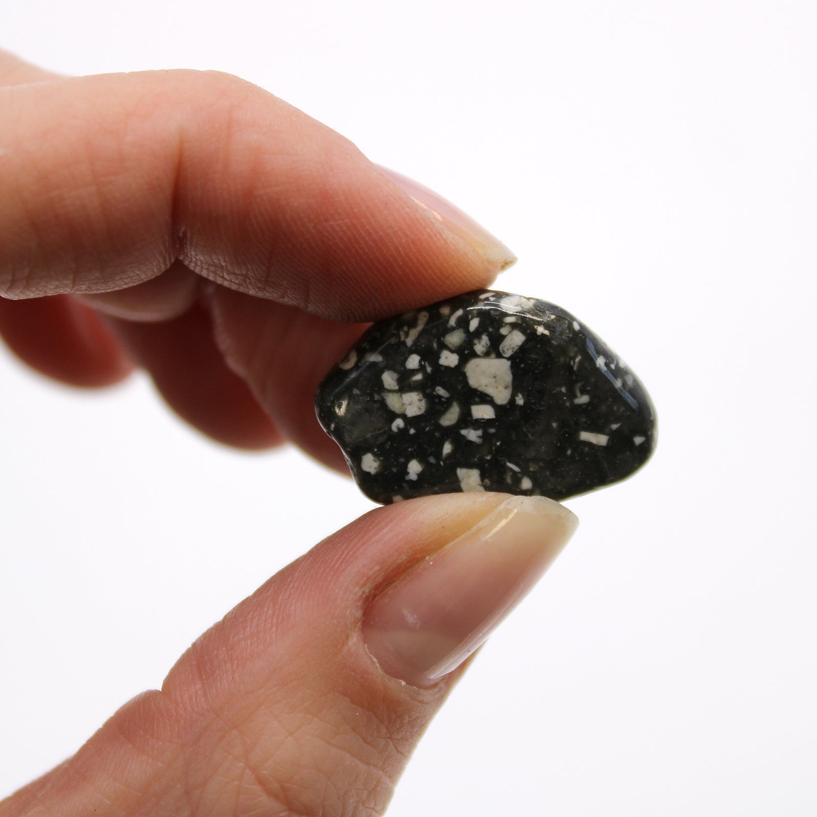 Small African Tumble Stones - Guinea Fowl From Witch, Please!