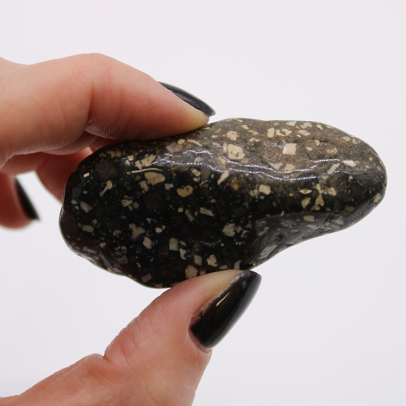 Large African Tumble Stones - Guinea Fowl Large From Witch, Please!
