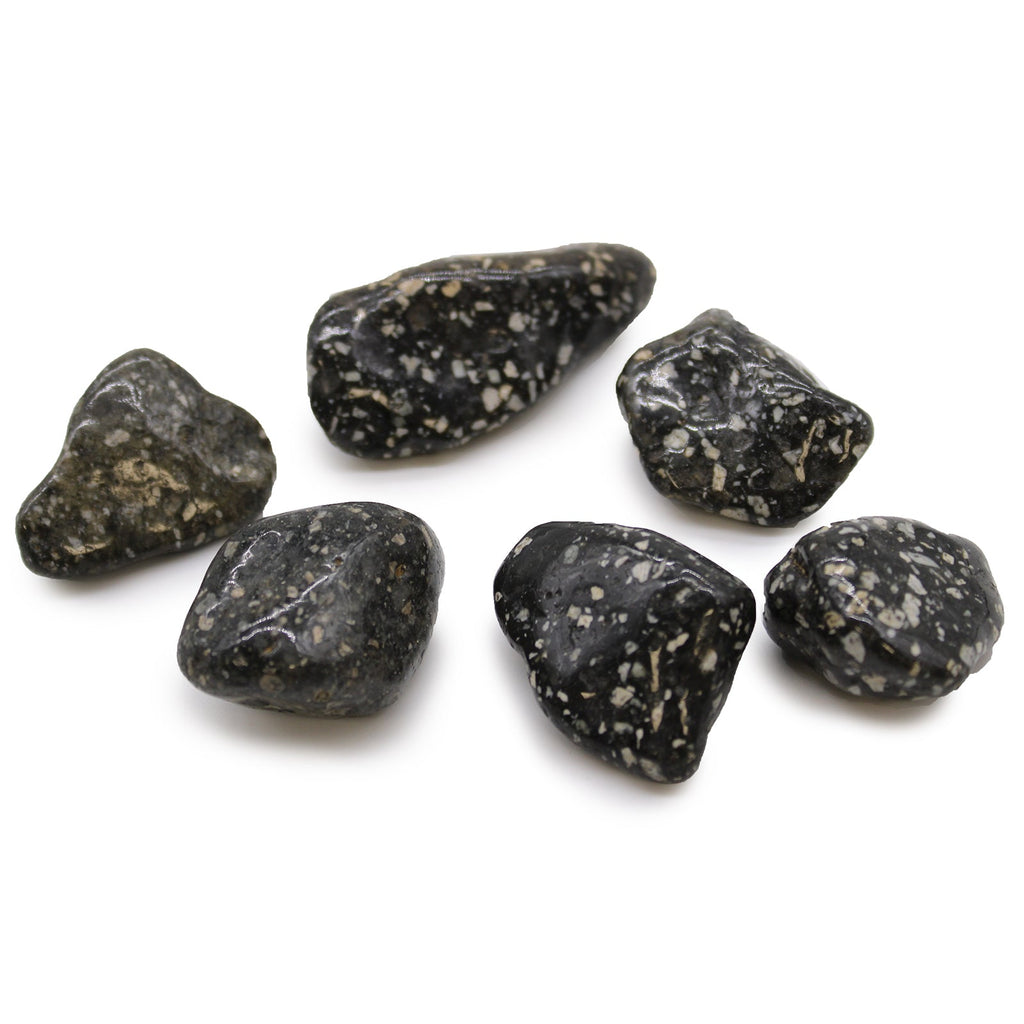 Large African Tumble Stones - Guinea Fowl Large From Witch, Please!