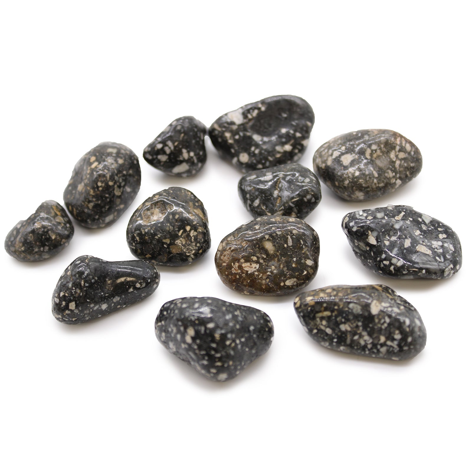 Guinea Fowl Medium African Tumble Stones Set of 24 – Witch, Please!