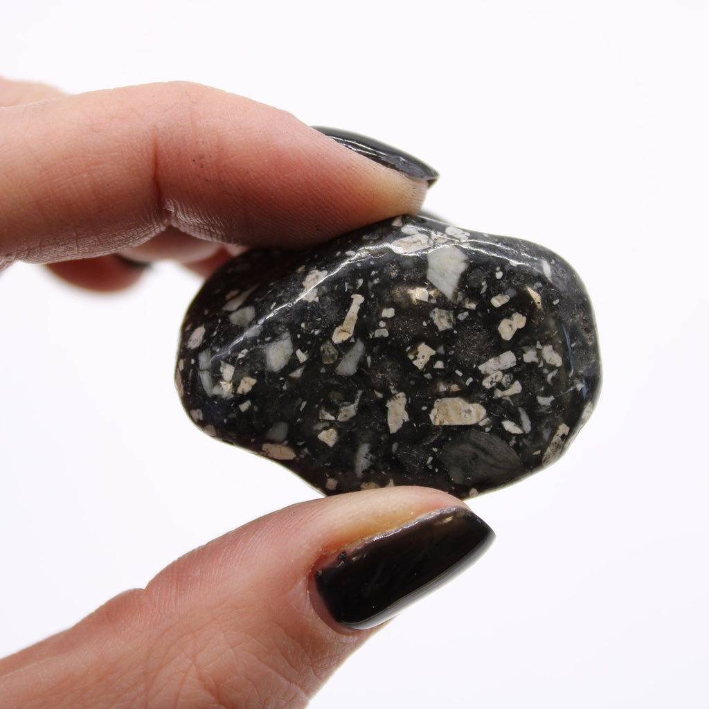 Medium African Tumble Stones - Guinea Fowl Medium From Witch, Please!