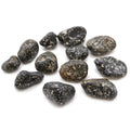 Medium African Tumble Stones - Guinea Fowl Medium From Witch, Please!