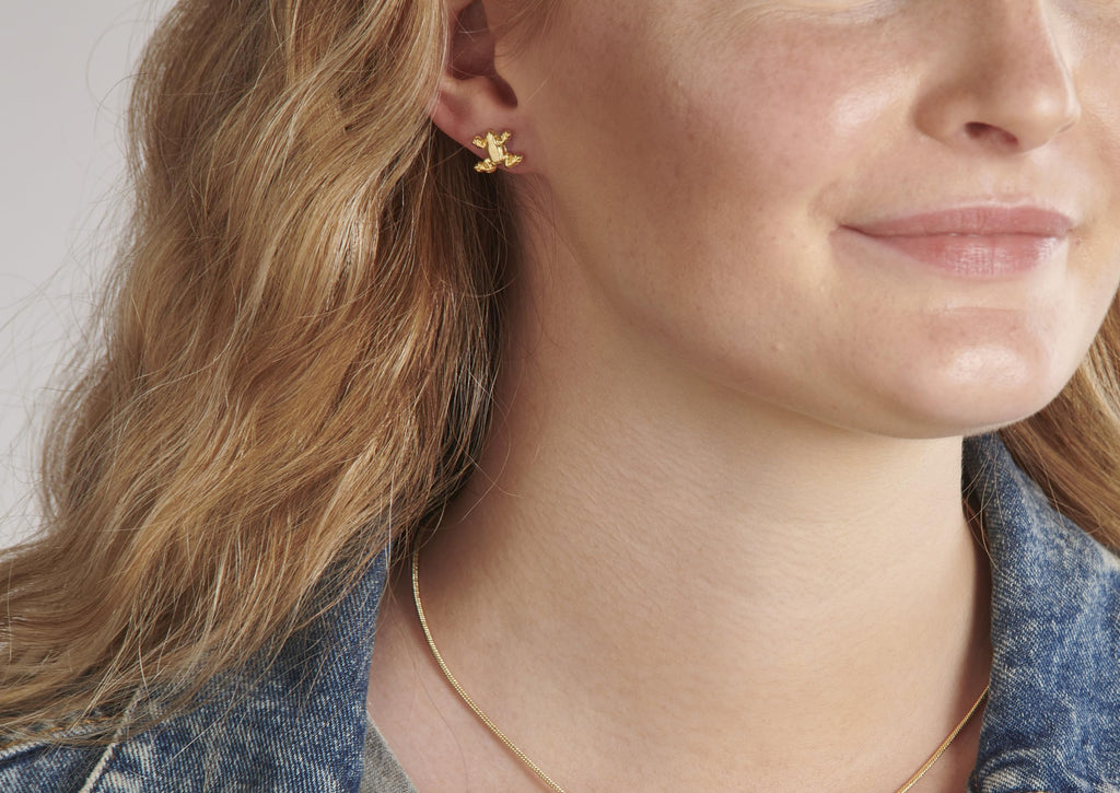 Harry Potter Chocolate Frog & Box Stud Earrings