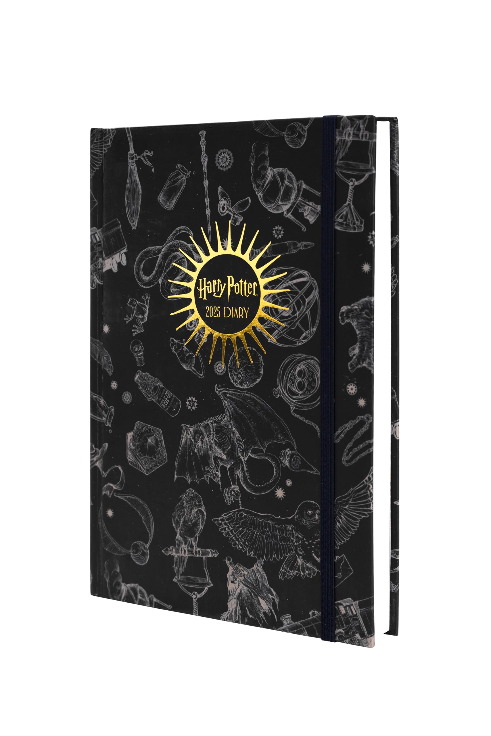 Harry Potter (Enchanted Chronicles) A5 Diary.