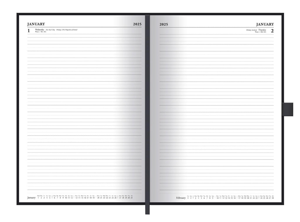 Harry Potter (Enchanted Chronicles) A5 Diary.