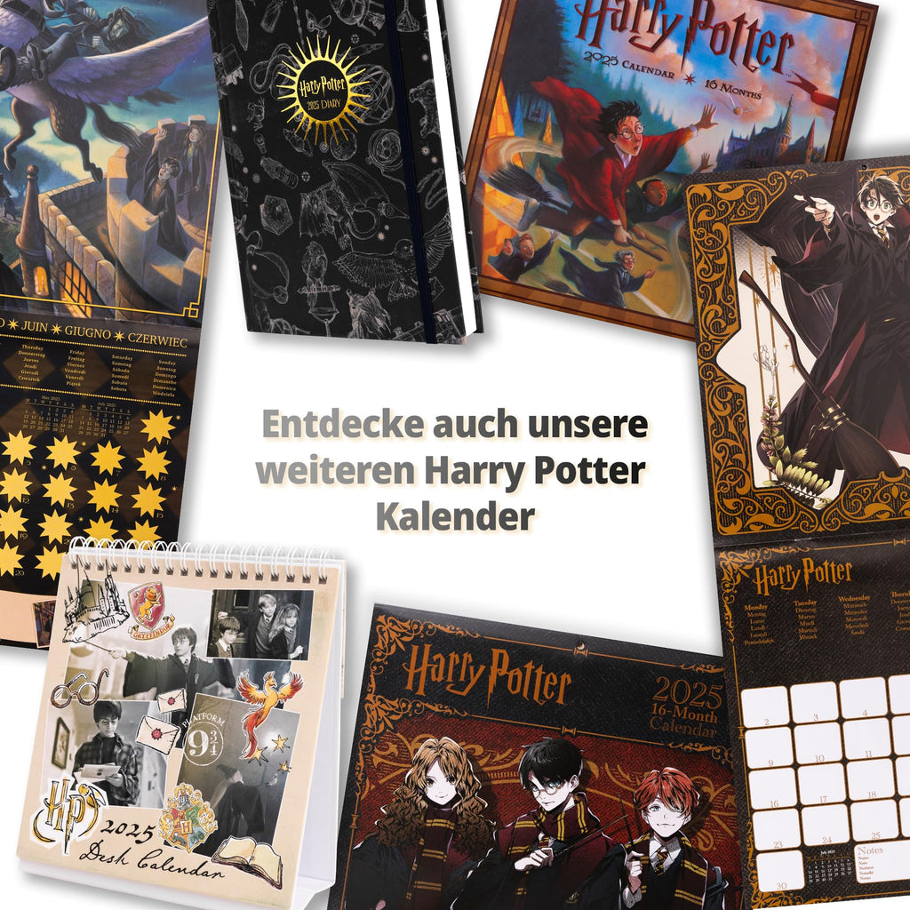 Harry Potter (Enchanted Chronicles) A5 Diary.