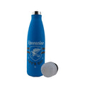 Harry Potter Let's Go Ravenclaw Insulated Water Bottle