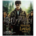 Harry Potter Locket Horcrux Kit and Sticker Book