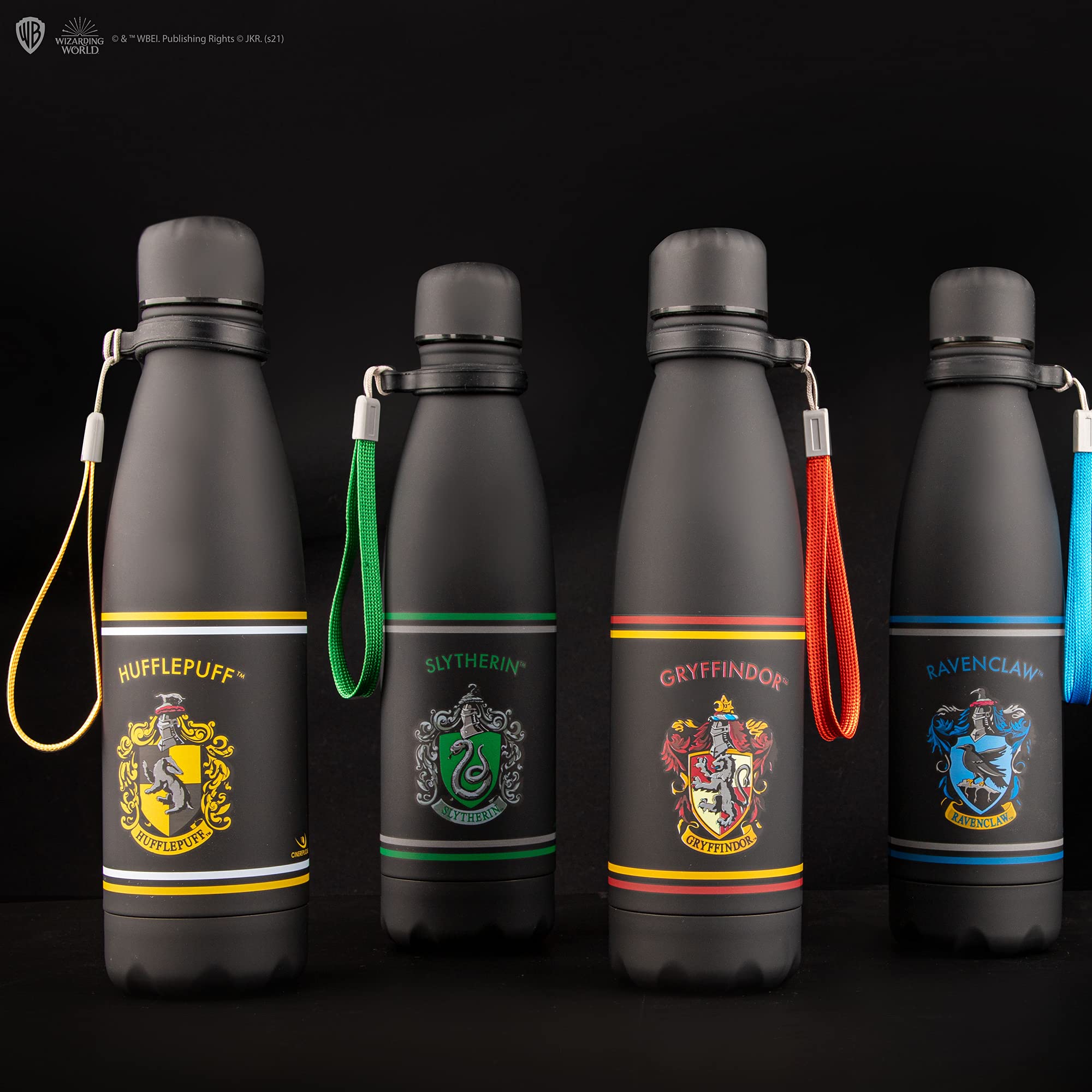 Harry Potter Slytherin Insulated Water Bottle
