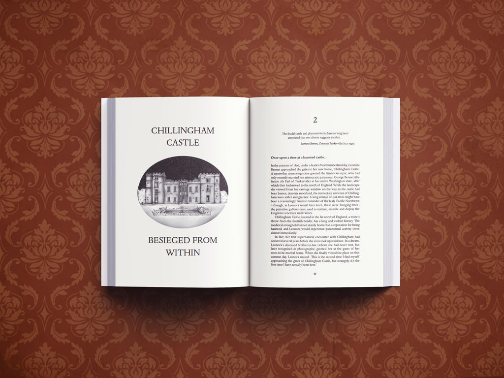 How to Build a Haunted House : The History of a Cultural Obsession