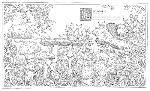 Into the Fungarium : A Spellbinding Coloring Book of Fantastical Fungi