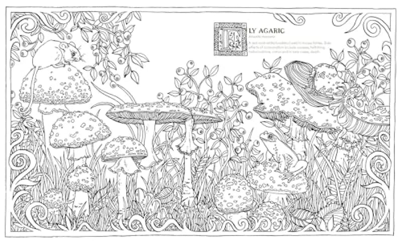 Into the Fungarium : A Spellbinding Coloring Book of Fantastical Fungi