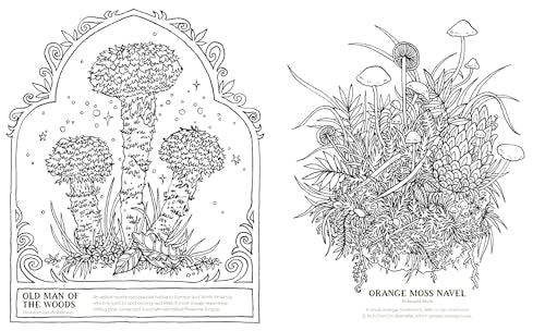 Into the Fungarium : A Spellbinding Coloring Book of Fantastical Fungi