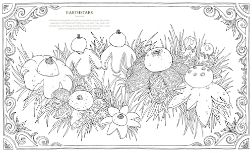Into the Fungarium : A Spellbinding Coloring Book of Fantastical Fungi