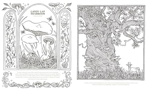 Into the Fungarium : A Spellbinding Coloring Book of Fantastical Fungi