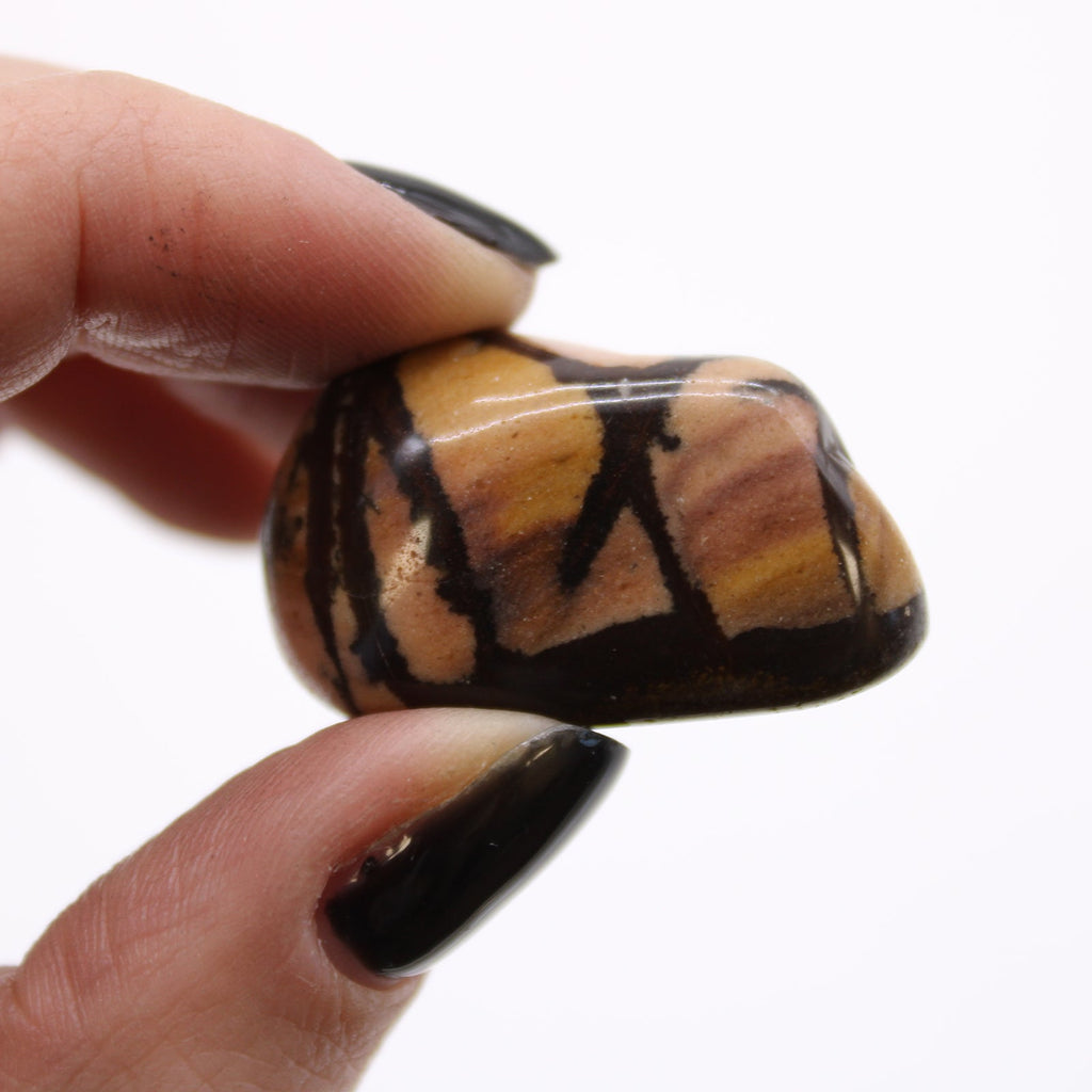 Medium African Tumble Stones - Jasper Nguni From Witch, Please!
