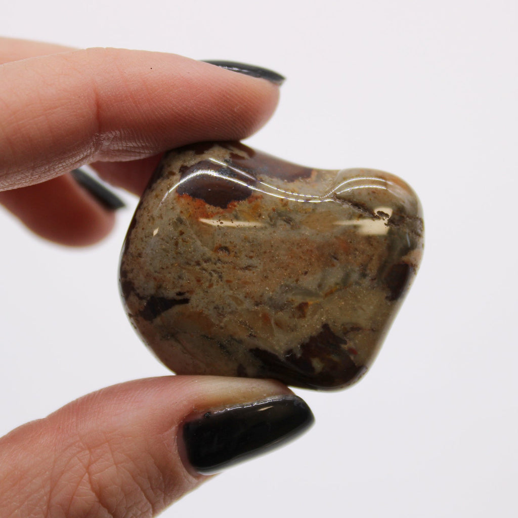 Large African Tumble Stones - Jasper Nguni From Witch, Please!