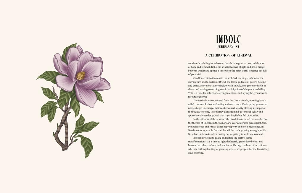 Kitchen Magic : 65 Enchanting Recipes and Rituals for a Cozy, Witchy Kitchen