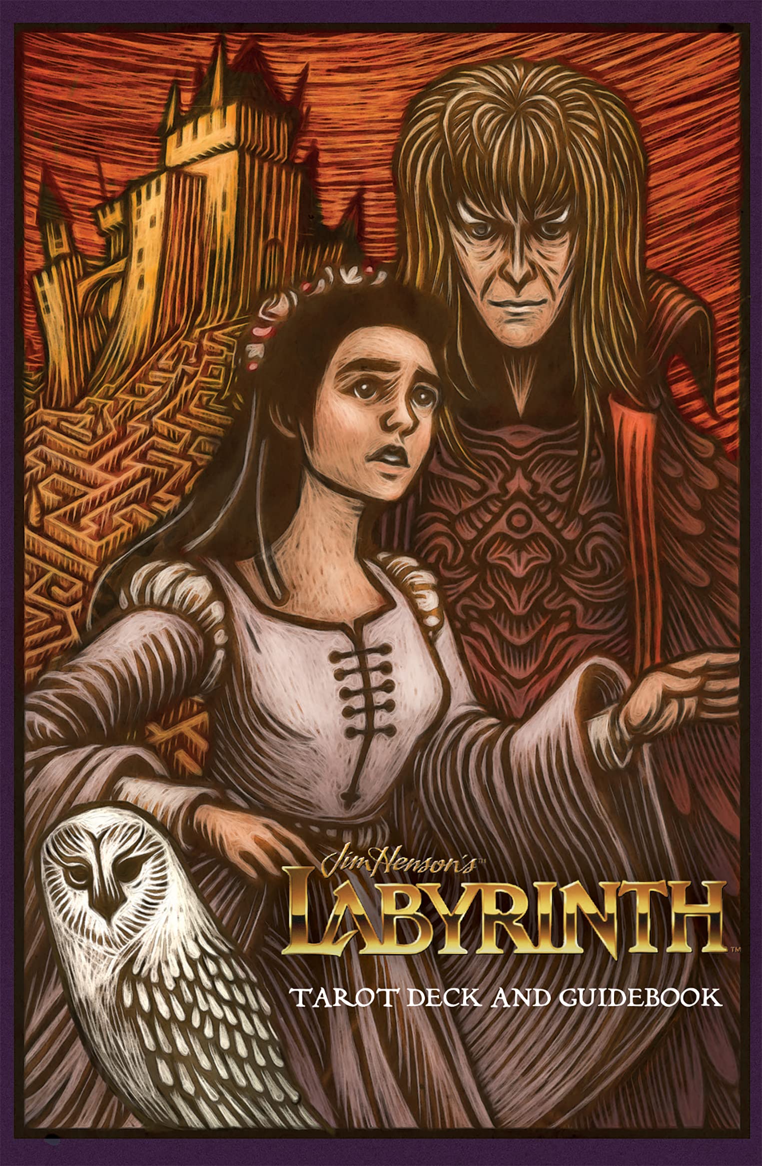 Labyrinth - Tarot Deck and Guidebook Novelty book Book