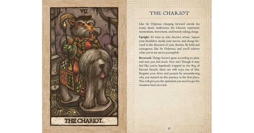 Labyrinth - Tarot Deck and Guidebook Novelty book Book