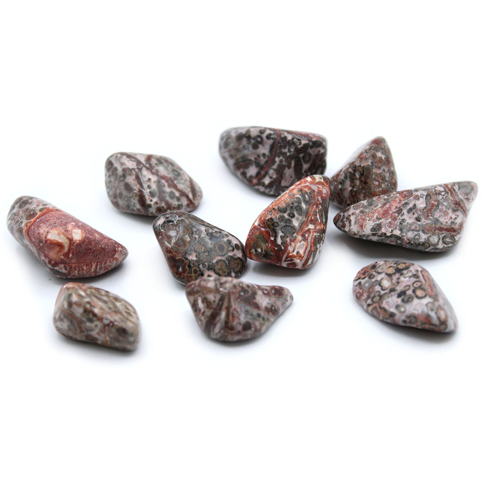 L Tumble Stones - Leopard Skin Medium and Large