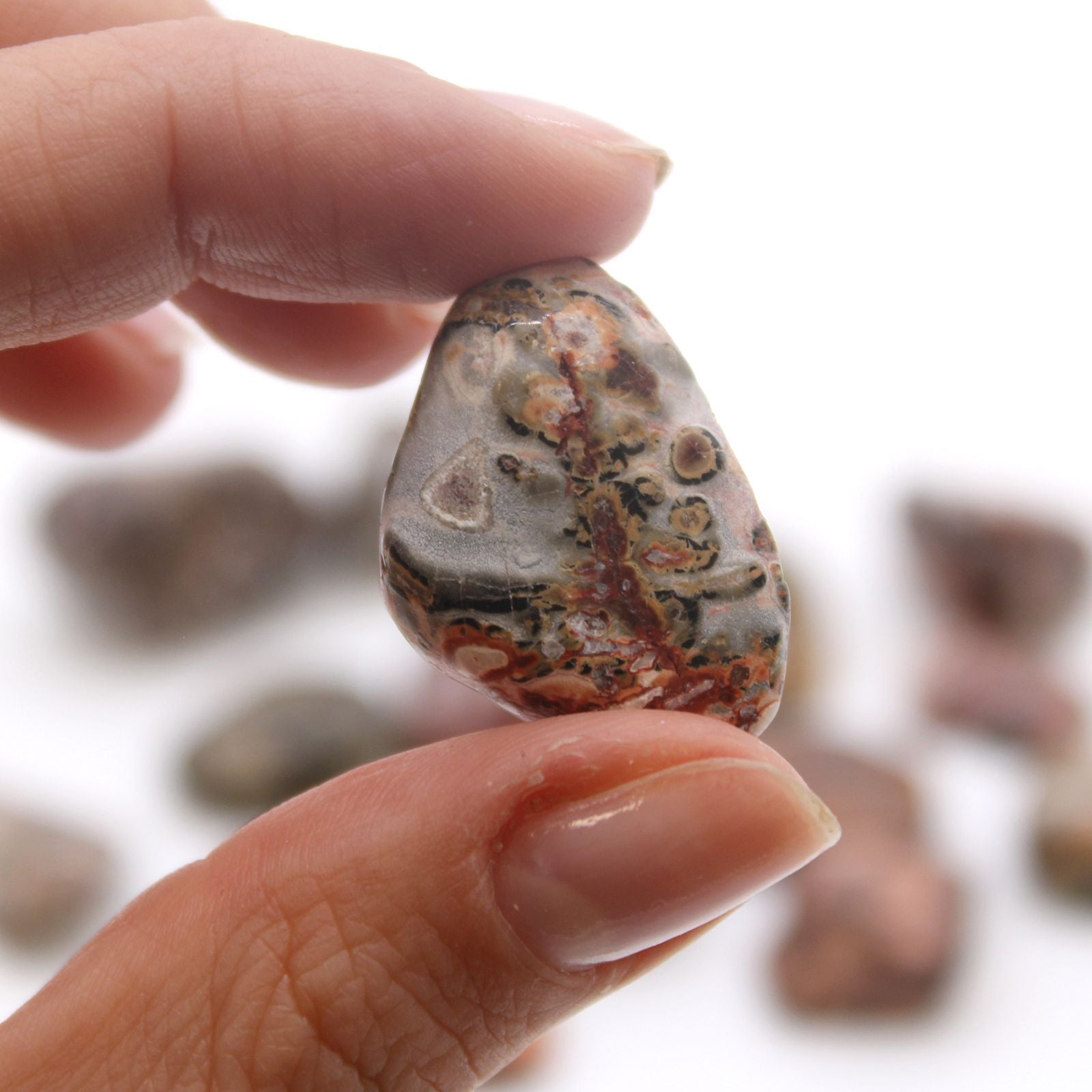 M Tumble Stone - Leopard Skin Medium and Large Stones