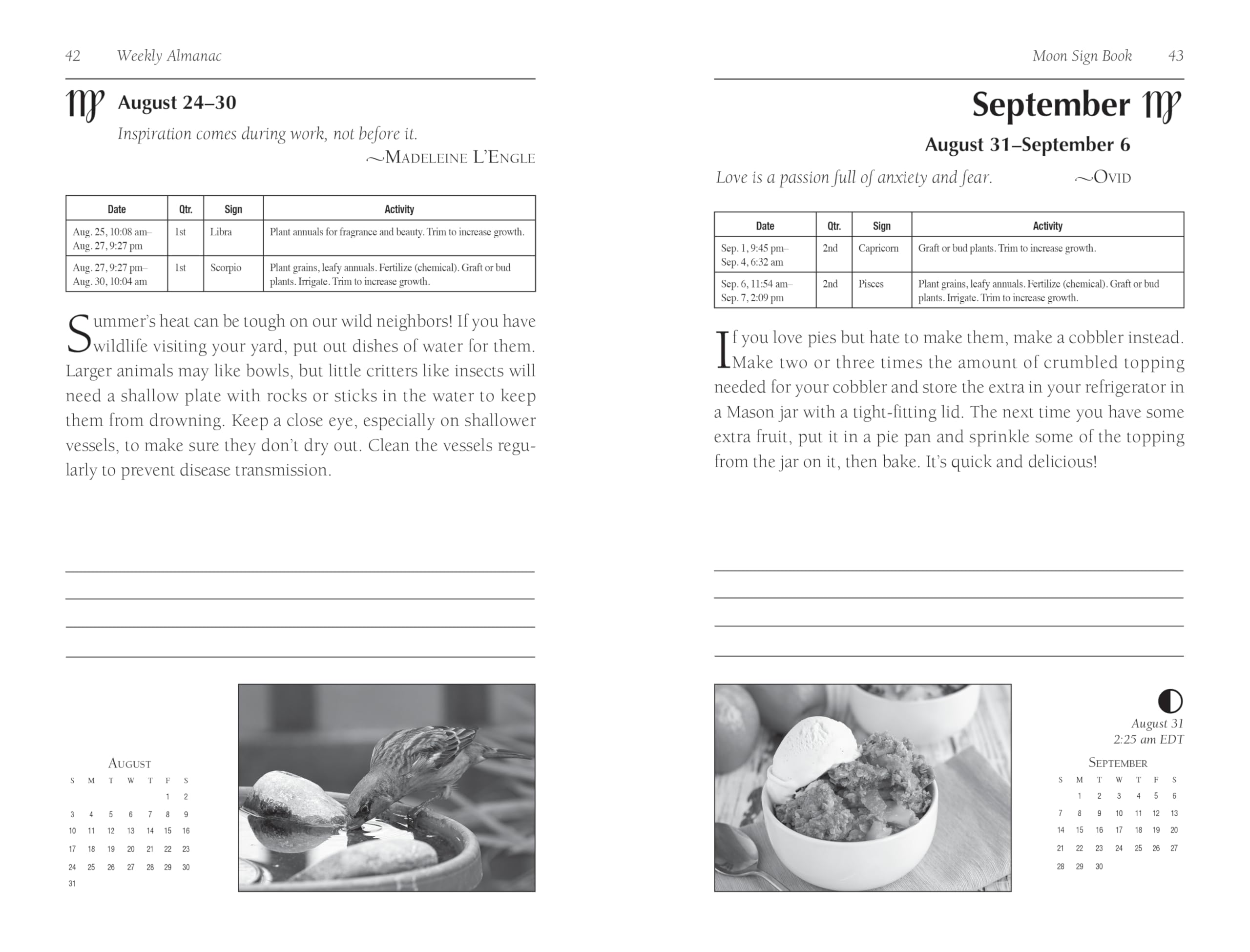 Llewellyn's 2025 Moon Sign Book : Plan Your Life by the Cycles of the Moon - Sold by Witch, Please!
