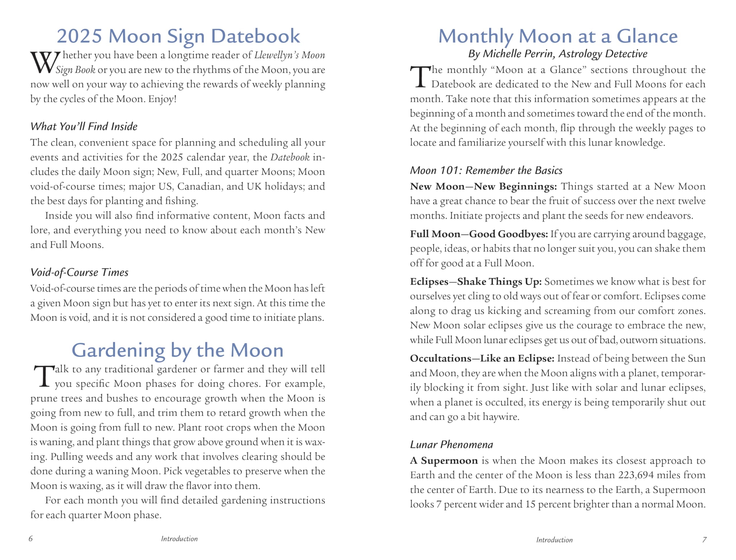 Llewellyn's 2025 Moon Sign Datebook : Weekly Planning by the Cycles of the Moon - Sold by Witch, Please!