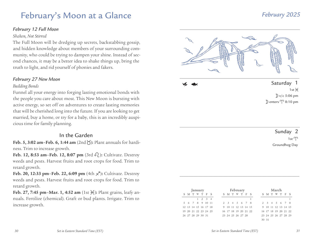 Llewellyn's 2025 Moon Sign Datebook : Weekly Planning by the Cycles of the Moon - Sold by Witch, Please!
