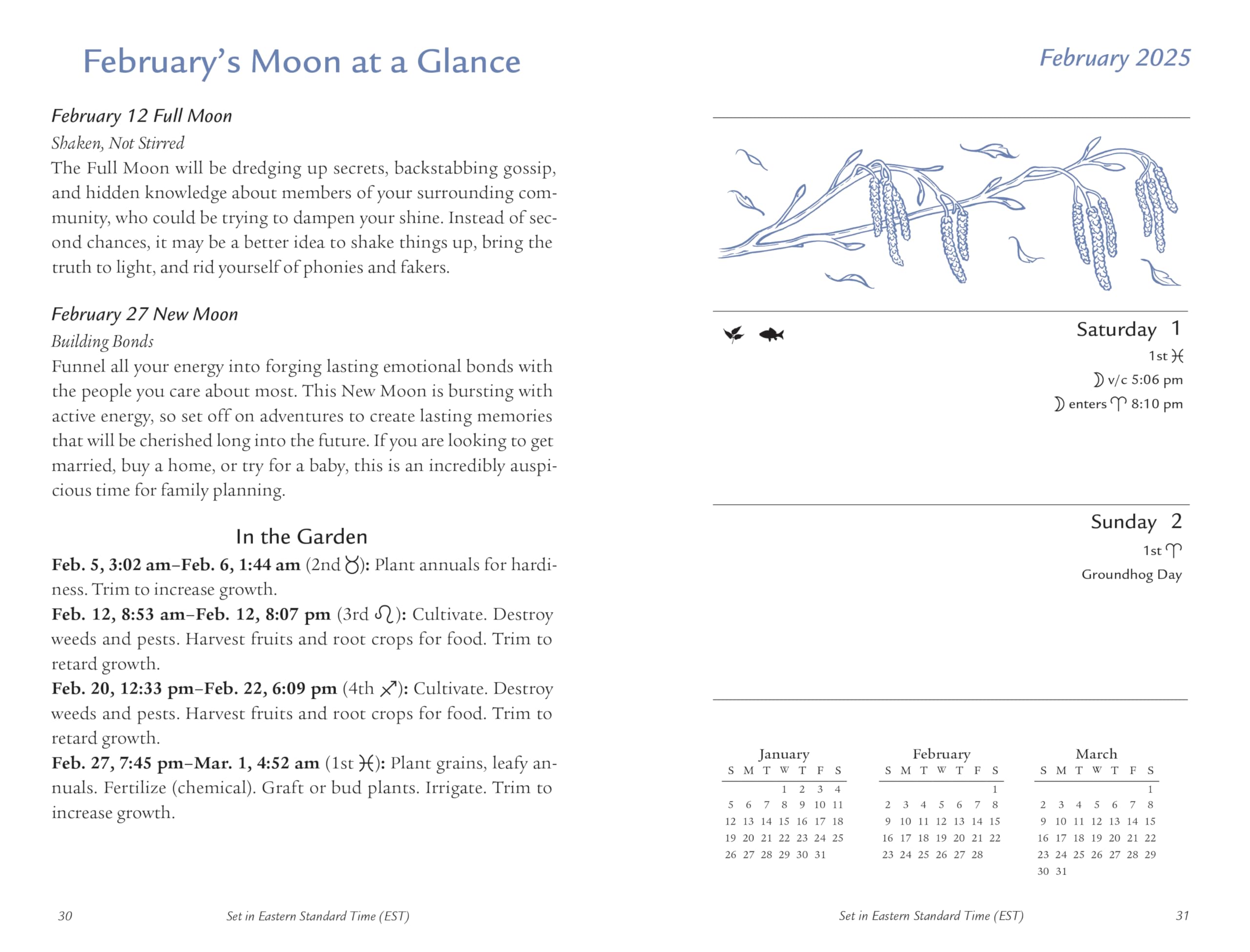 Llewellyn's 2025 Moon Sign Datebook : Weekly Planning by the Cycles of the Moon - Sold by Witch, Please!