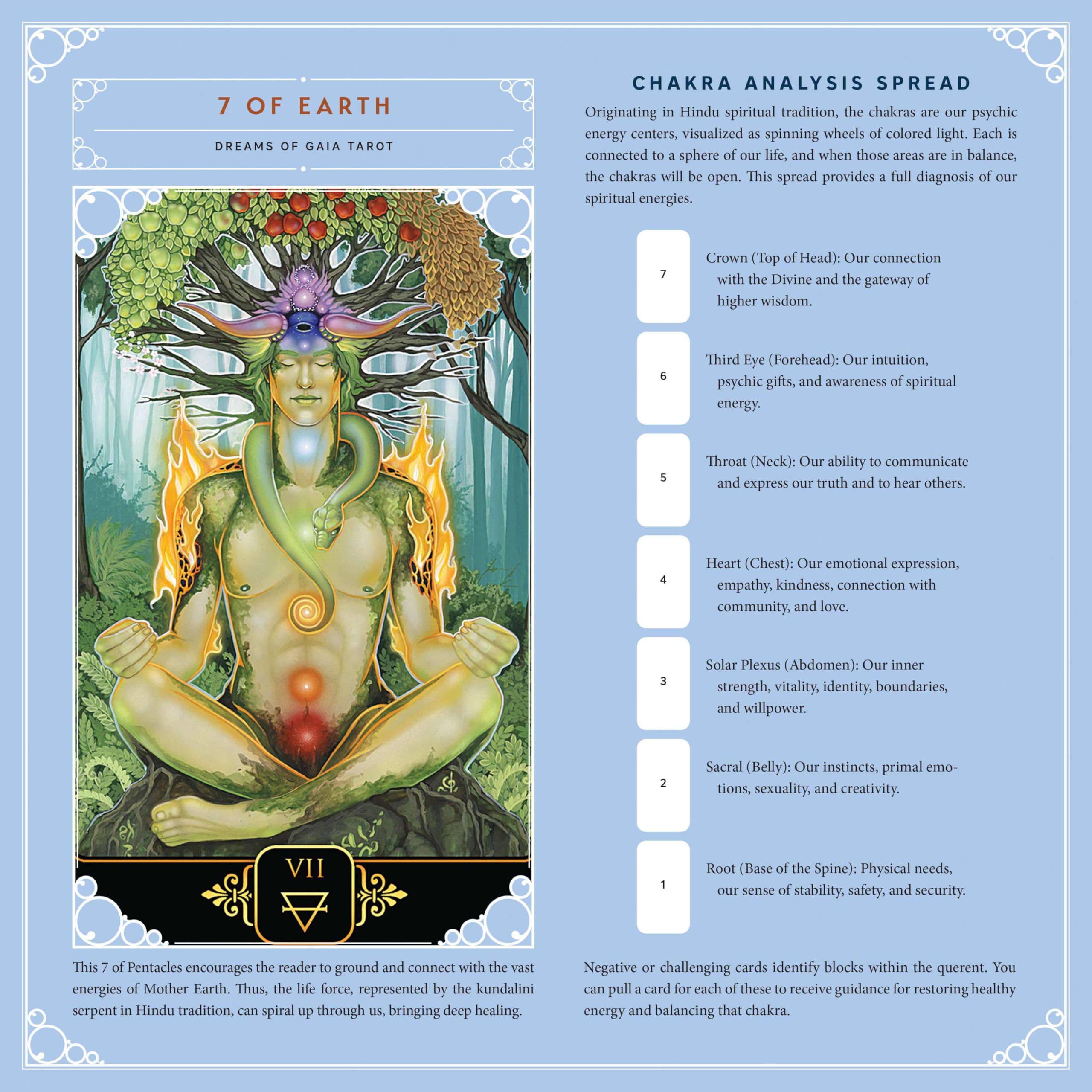 Llewellyn's 2026 Tarot Calendar : Insights, Spreads, and Tips