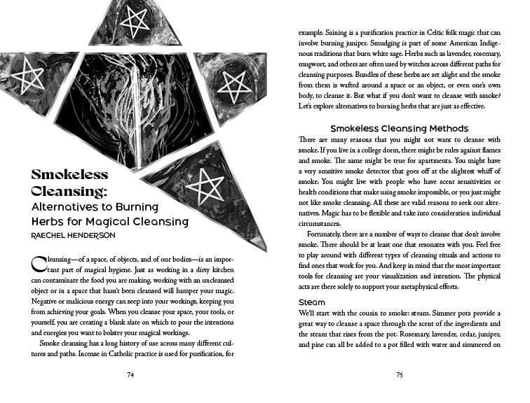 Llewellyn's 2027 Witches' Companion : Community Connection Belonging