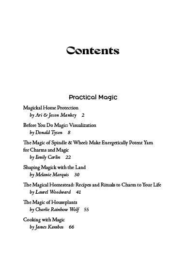 Llewellyn's 2027 Witches' Companion : Community Connection Belonging