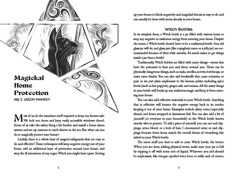 Llewellyn's 2027 Witches' Companion : Community Connection Belonging
