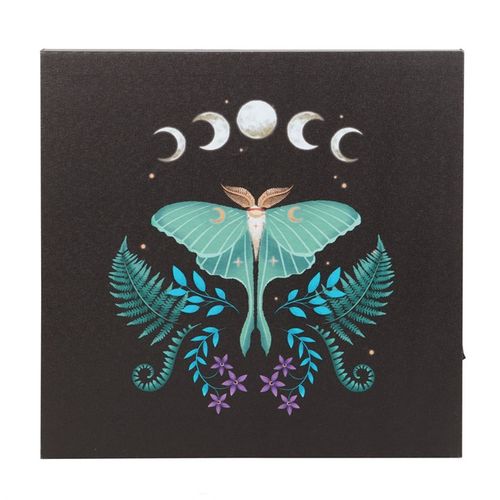 Luna Moth Light Up Canvas Plaque From Witch, Please!