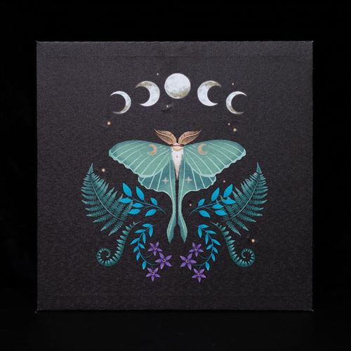 Luna Moth Light Up Canvas Plaque From Witch, Please!